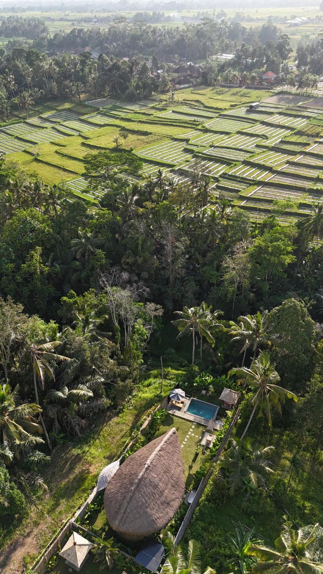 Pitu, A Punggul Village Escape Sangeh ภายนอก รูปภาพ